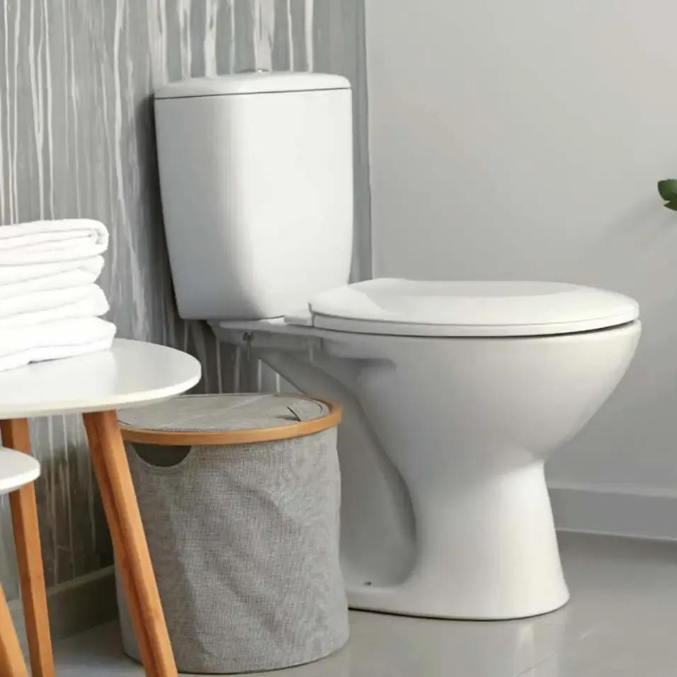 How to Choose the Right Toilet for Your Bathroom Remodeling Project