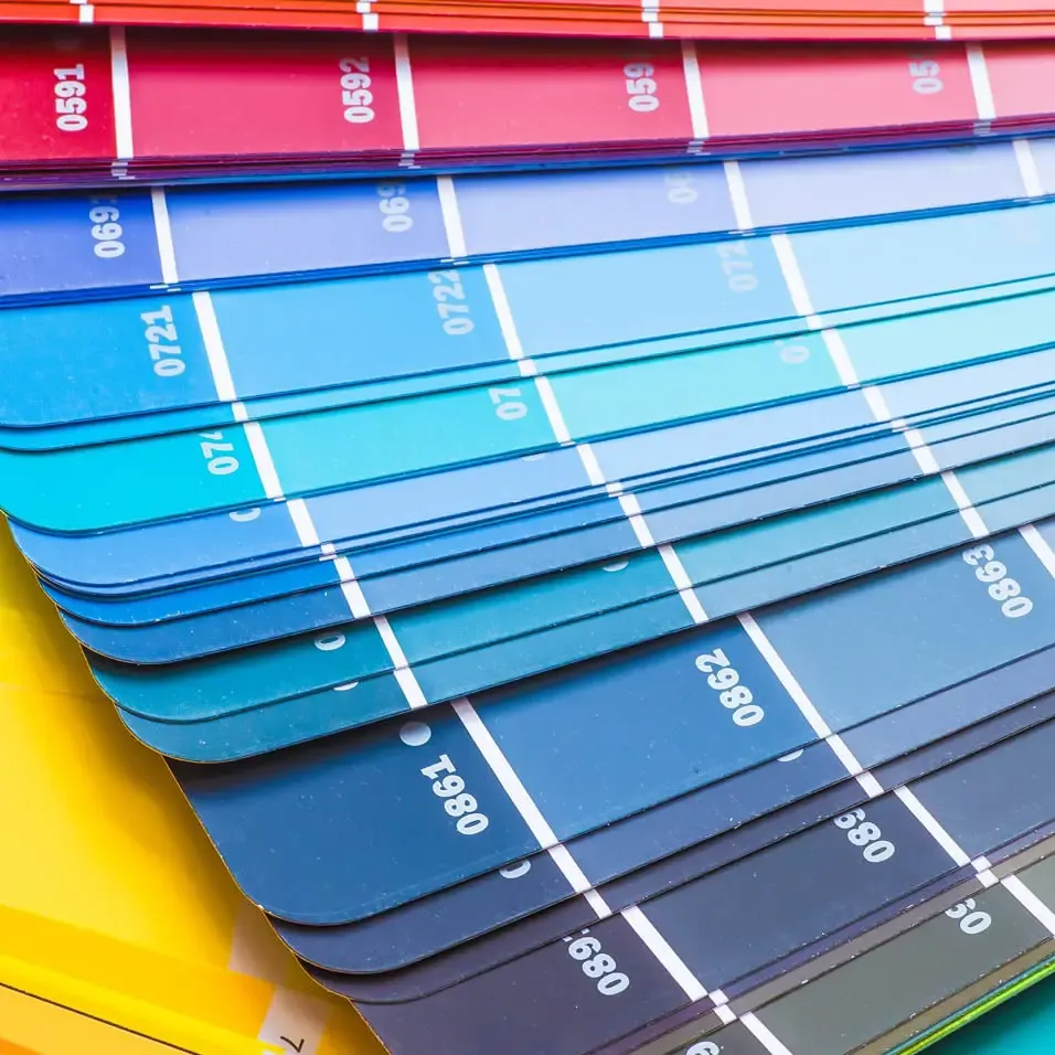 Popular Paint colors in South Florida