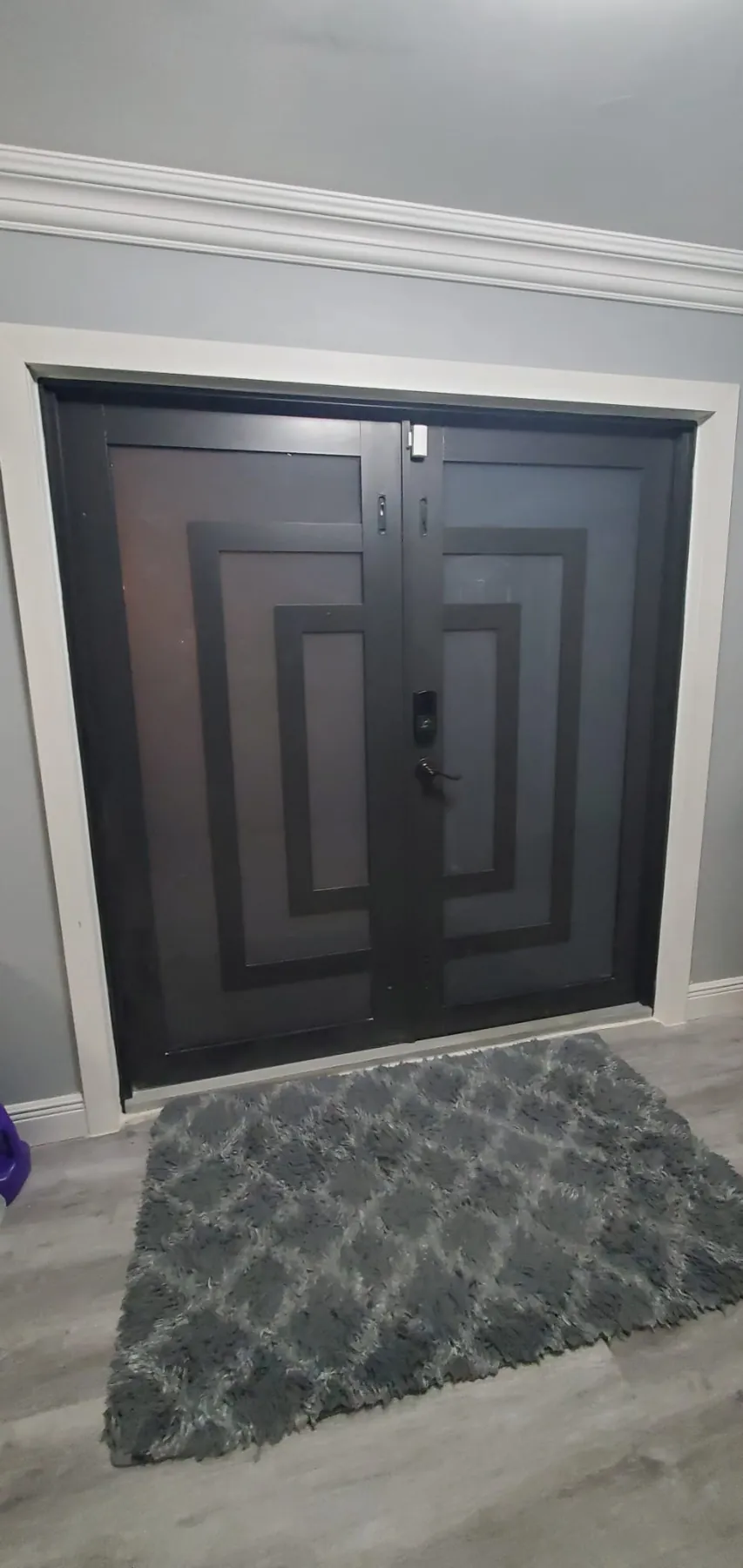 Puertas dobles de entrada de impacto oscuras