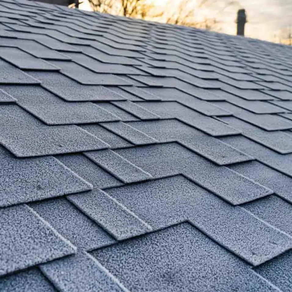 The Pros and Cons of Asphalt Shingles - Global Contractors