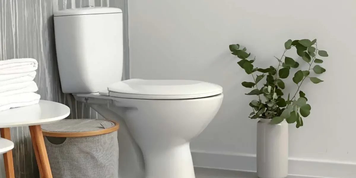 How to Choose the Right Toilet for Your Bathroom Remodeling Project